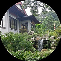 会飞的鱼