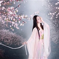 福豆豆的嘛咪