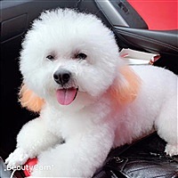 郭漂亮