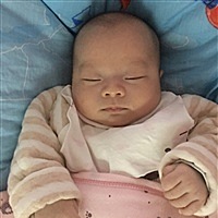 辰辰