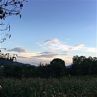默