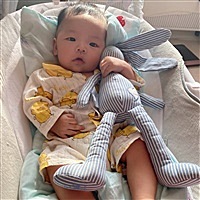 🌻向阳花