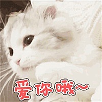 🌸傲娇的小公举💋