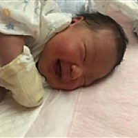 小杜杜