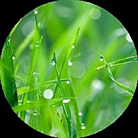 不知道起什么名字