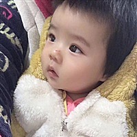 卷心菜