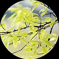 柠檬酸不比心酸