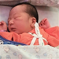 冯淑弟13630182458