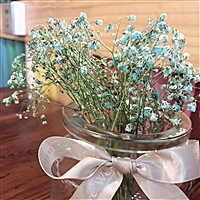 兵荒马乱的小青春～