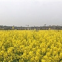sunshine_玉琳