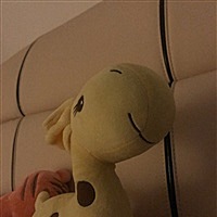 猫猫