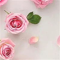 青菜