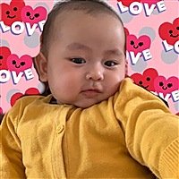 小猪古