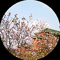 值得等待
