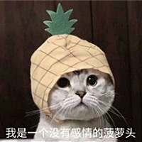 宝宝(｀∧′)