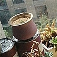 1月份半_