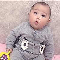 一只小团子