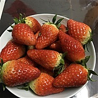 雨、若祗如初见