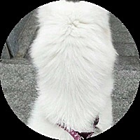 為幸福努か