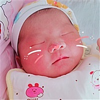 杨杨