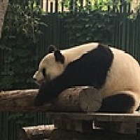 小May