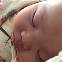 立羽嫲嫲