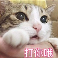 宝贝
