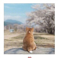 做个小宝贝