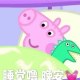 小猪baby