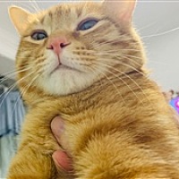 小可爱又不高兴啦