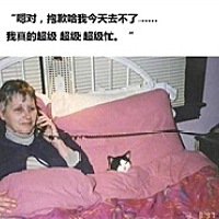 你好漂亮