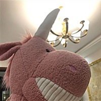 馬小小小馬