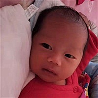 萌神的仙女