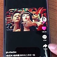 一花一世界