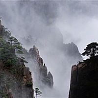 H小猪宝