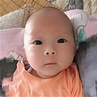 跳跳的奶牛