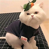 故事还没讲完