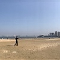 豆花儿