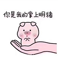 猪猪baby I‘mlover