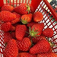 遇见最美的自己