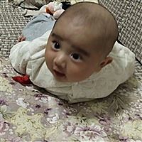 呢呢