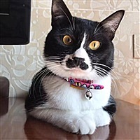 涛涛豆儿
