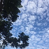 俺们村我最好看