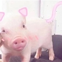 ㅤㅤㅤㅤ
