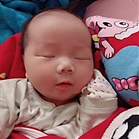 栖桐妈妈