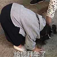 豆妈