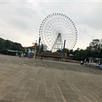 我是文艺女汉子
