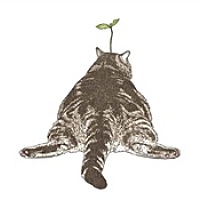 A 佛说 ʚɞ Yu Li ʚɞ