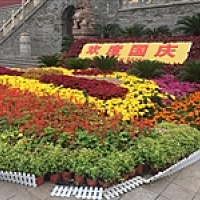 白开水