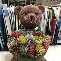 爱你不是两三天